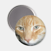 Rescue Cat Magnet (Voorkant / Achterkant)