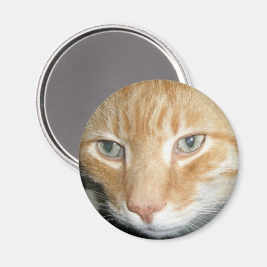 Rescue Cat Magnet (Voorkant / Achterkant)