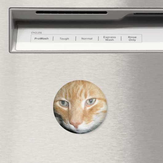 Rescue Cat Magnet (Insitu (Vaatwasser))