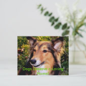 Rescue Dog Briefkaart (Staand voorkant)
