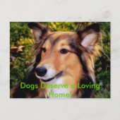 Rescue Dog Briefkaart (Voorkant)