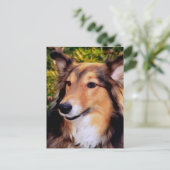 Rescue Dog Briefkaart (Staand voorkant)