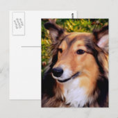 Rescue Dog Briefkaart (Voorkant / Achterkant)