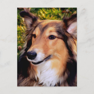 Rescue Dog Briefkaart