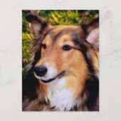 Rescue Dog Briefkaart (Voorkant)