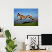 Rescue Dog Greyhound Sighthound Brindled Lurcher Poster (Thuiskantoor)