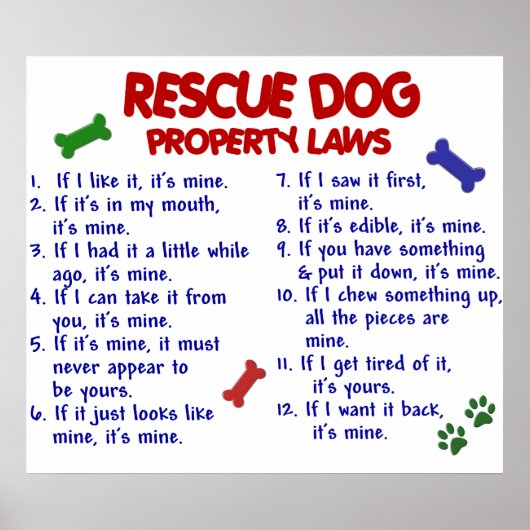 RESCUE DOG PL2 POSTER (Voorkant)