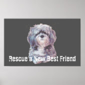 Rescue Dog Poster (Voorkant)