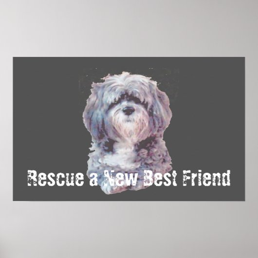 Rescue Dog Poster (Voorkant)