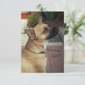 Rescue Dogs 3,5" x 5" Flat Dank u kaart (Staand voorkant)
