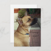 Rescue Dogs 3,5" x 5" Flat Dank u kaart (Voorkant / Achterkant)