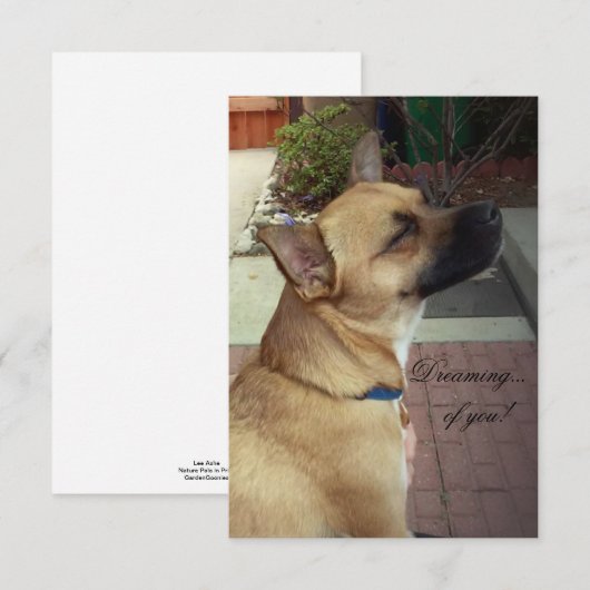 Rescue Dogs 3,5" x 5" Flat Dank u kaart (Voorkant / Achterkant)