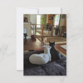 Rescue Dogs 3,5" x 5" Flat Dank u kaart (Voorkant)