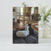 Rescue Dogs 3,5" x 5" Flat Dank u kaart (Staand voorkant)