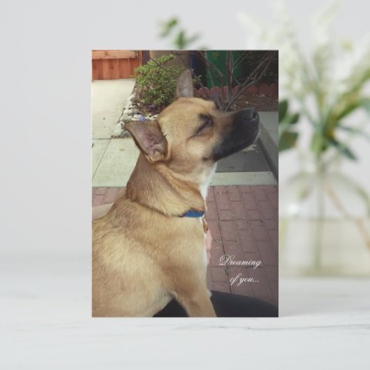 Rescue Dogs 3,5" x 5" Flat Dank u kaart (Staand voorkant)