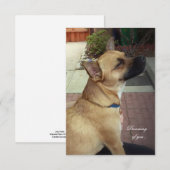 Rescue Dogs 3,5" x 5" Flat Dank u kaart (Voorkant / Achterkant)