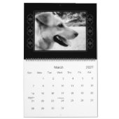 Rescue Dogs Calendar Kalender (Mar 2027)