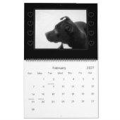 Rescue Dogs Calendar Kalender (Feb 2027)