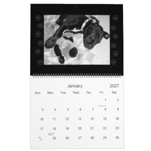 Rescue Dogs Calendar Kalender (Jan 2027)
