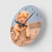 Rescue Dogue de Bordeaux Puppy French mastiff Ronde Klok (Hoek)