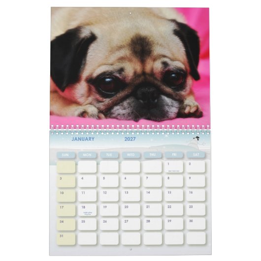 Rescue-honden II-kalender Kalender (Jan 2027)