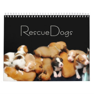 Rescue-honden II-kalender Kalender