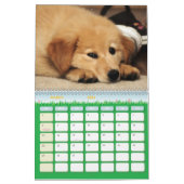 Rescue-honden II-kalender Kalender (Mar 2026)