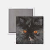 Rescue Kat magneet (Voorkant / Achterkant)