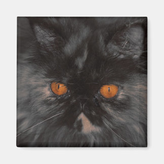 Rescue Kat magneet