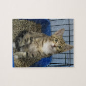Rescue Kat Puzzle Legpuzzel (Horizontaal)