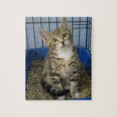 Rescue Kat Puzzle Legpuzzel (Verticaal)