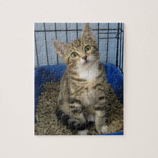 Rescue Kat Puzzle Legpuzzel (Verticaal)