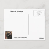 Rescue Kittens Briefkaart (Achterkant)