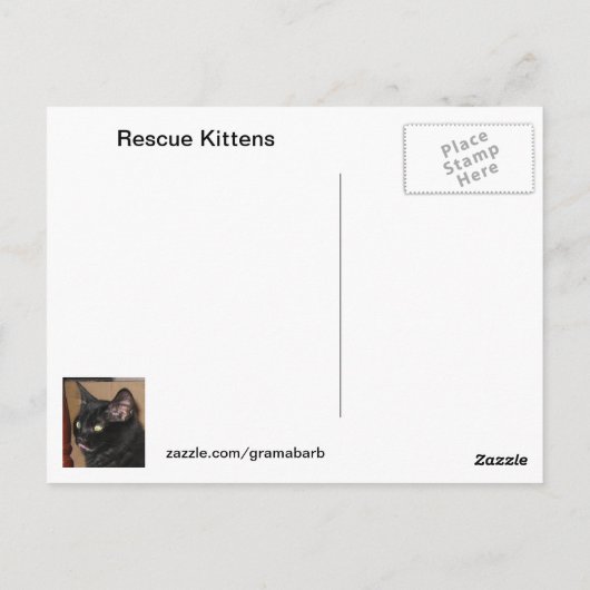Rescue Kittens Briefkaart (Achterkant)