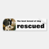 Rescue Pet Bumpersticker (Voorkant)