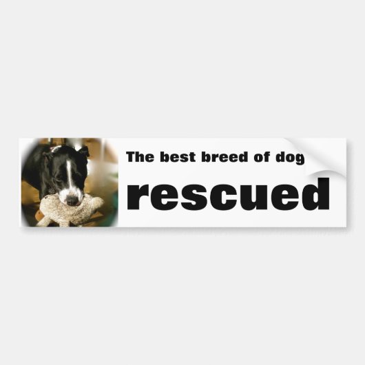 Rescue Pet Bumpersticker (Voorkant)