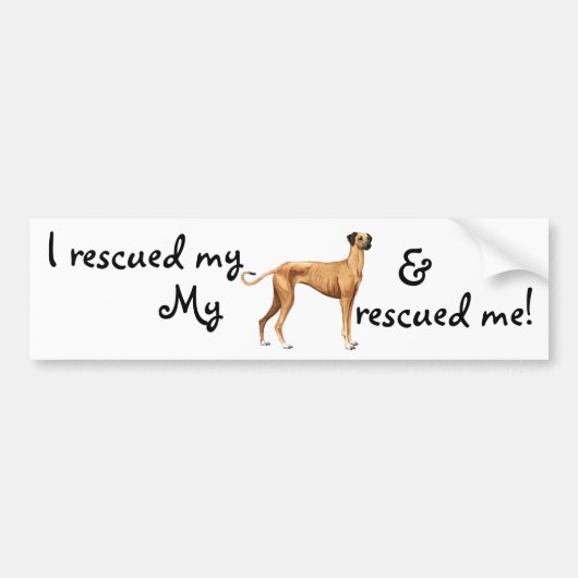 Rescue Sloughi Bumpersticker (Voorkant)