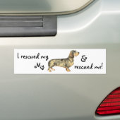 Rescue Wirehaered Dachshund Bumpersticker (Op auto)