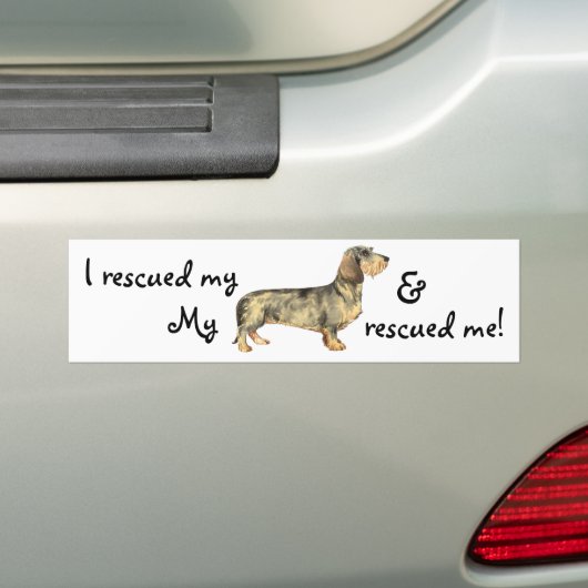 Rescue Wirehaered Dachshund Bumpersticker (Op auto)