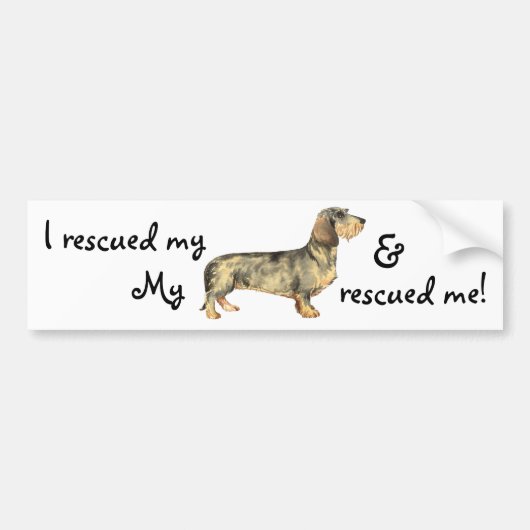 Rescue Wirehaered Dachshund Bumpersticker (Voorkant)
