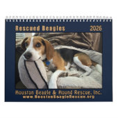 Rescued Beagles 2026 Wall Calendar Kalender (Hoes)