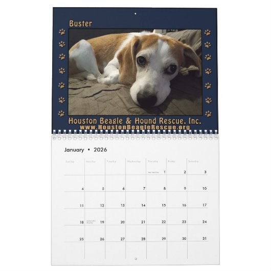 Rescued Beagles 2026 Wall Calendar Kalender (Jan 2026)