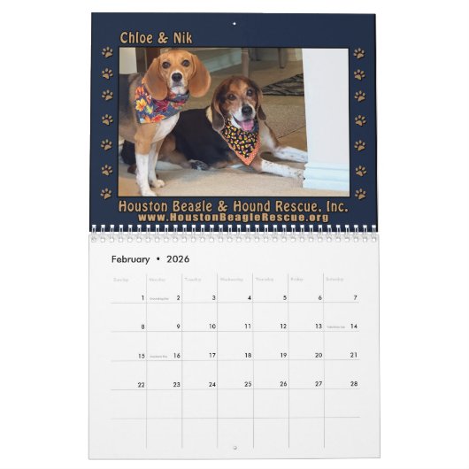 Rescued Beagles 2026 Wall Calendar Kalender (Feb 2026)