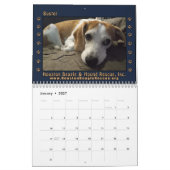 Rescued Beagles 2026 Wall Calendar Kalender (Jan 2027)
