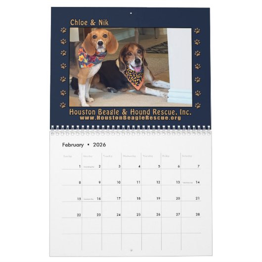 Rescued Beagles 2026 Wall Calendar Kalender (Feb 2026)