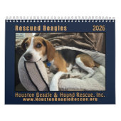 Rescued Beagles 2026 Wall Calendar Kalender (Hoes)