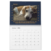 Rescued Beagles 2026 Wall Calendar Kalender (Jan 2026)