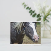 RESCUED HORSE BRIEFKAART (Staand voorkant)