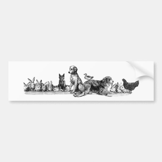 Resculeerde dieren bumpersticker (Voorkant)