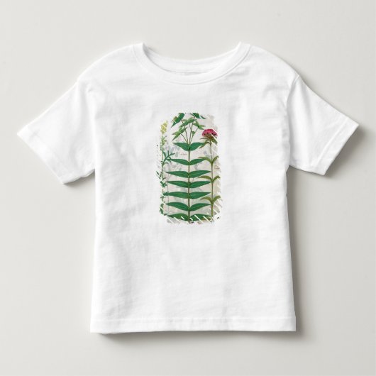 Reseda, Euphorbia en Dianthus Kinder Shirts (Voorkant)